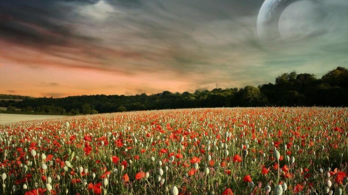 为什么很多人认为加入 Rust 的「光荣进化」是一件坏事？